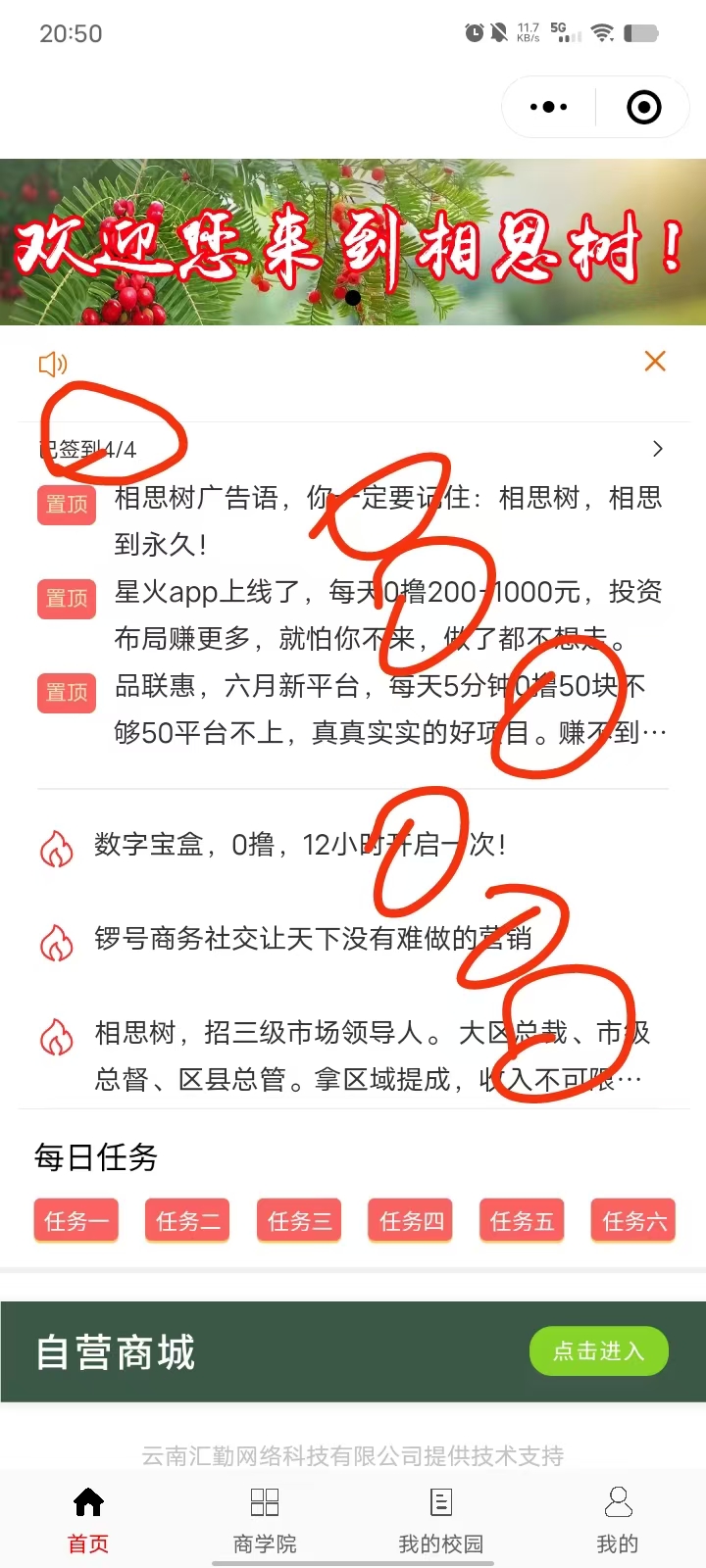 首码相思之树小程序零撸