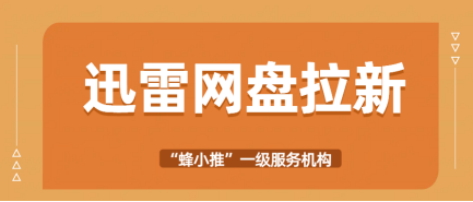 蜂小推，普通人如何通过迅雷网盘推广，获得额外收入？