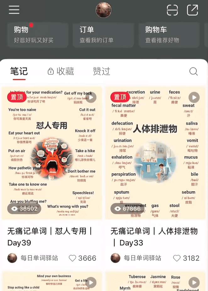 下一个风口虚拟赛道：英语+商业+自媒体=王炸！