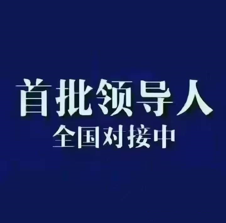 i妈妈（首码），掛机排线项目，正规长期稳定，月润16万
