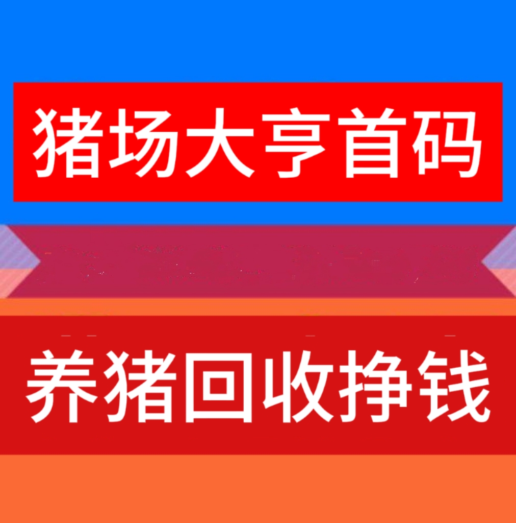 养猪大亨分红版：养殖不同的猪崽，每日分葒不同