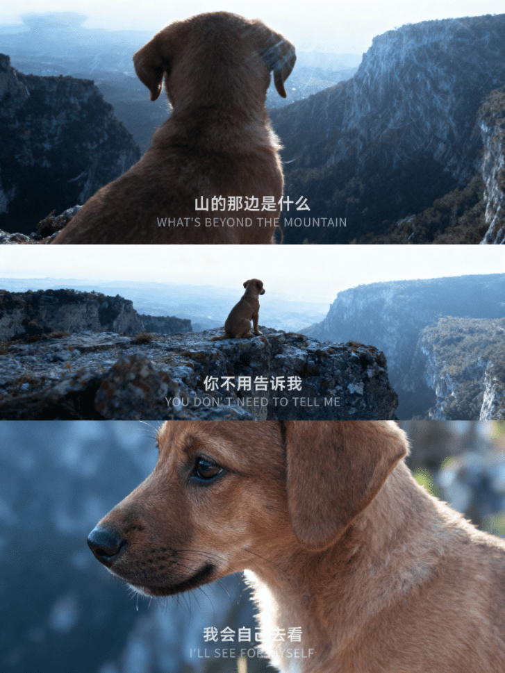 薄冰哥还是太权威了，我的电影感AI三宫格图片！