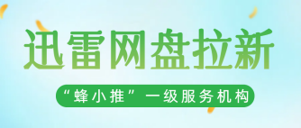 蜂小推，想赚额外收入？迅雷网盘拉新推广攻略，跟着做就能推进