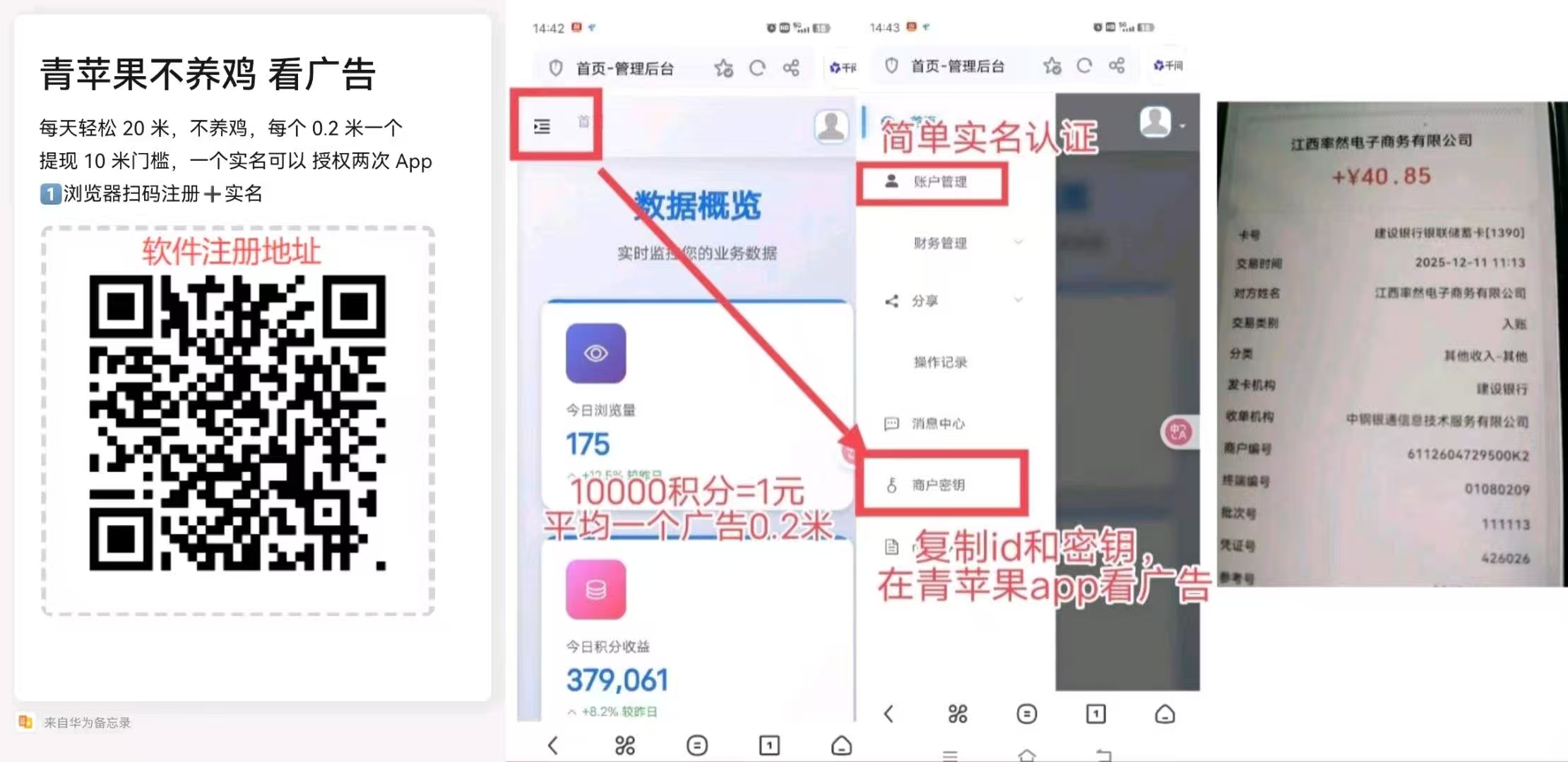 黑马橡木青苹果！零撸单号每天5+米，多号多撸，每天提米每天到！