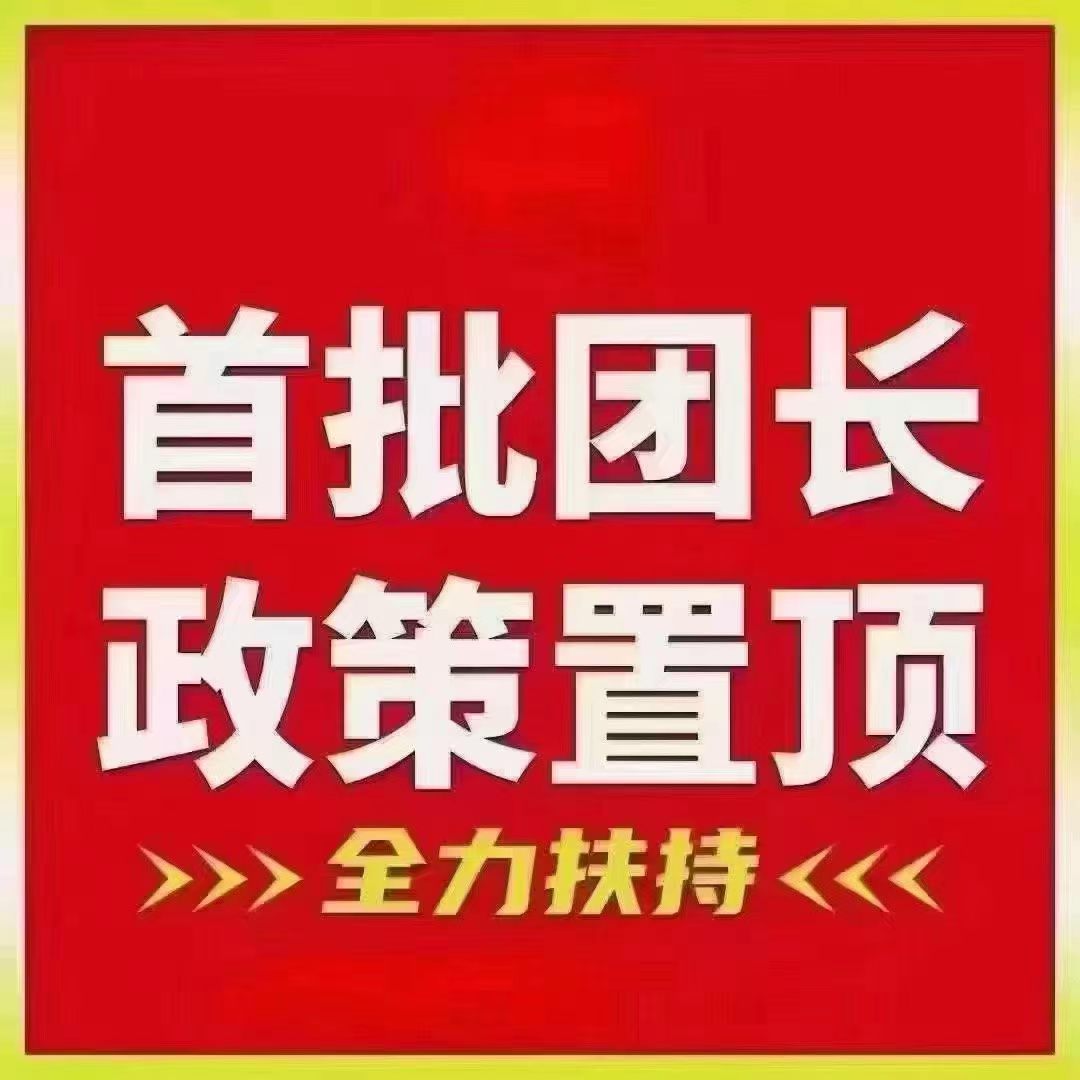 首码内测《大店小二》每天收益10元，锁粉每人2元无门槛提