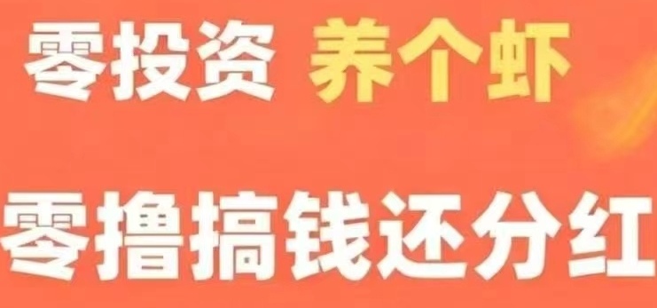 养成琻币虾0撸首码 琻币虾每日分0.66元